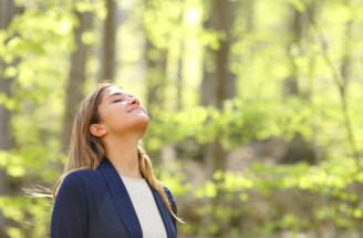 Lesná terapia podľa Japoncov pomôže zvládnuť stres aj úzkosť!