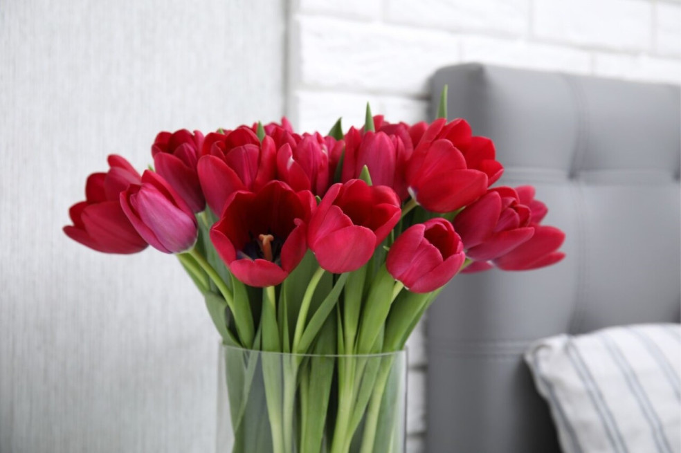 tulipány vo váze