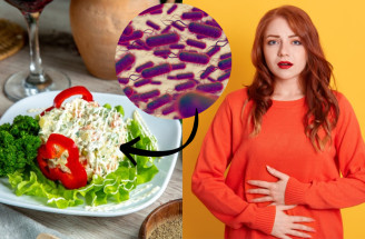Salmonelóza: Ako ju spoznať, liečiť a hlavne jej predchádzať?